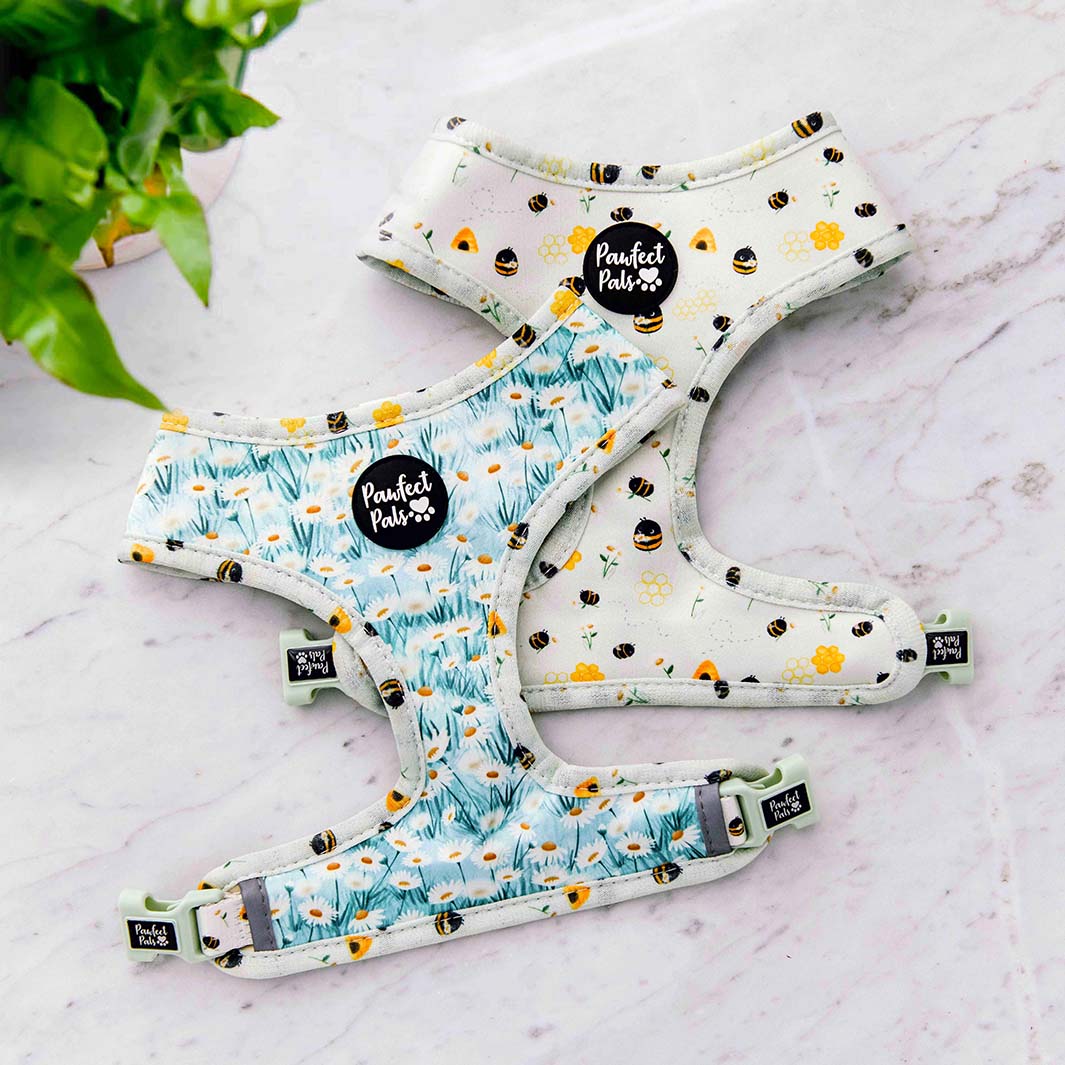 Sweet Like Honey reversible dog harness.