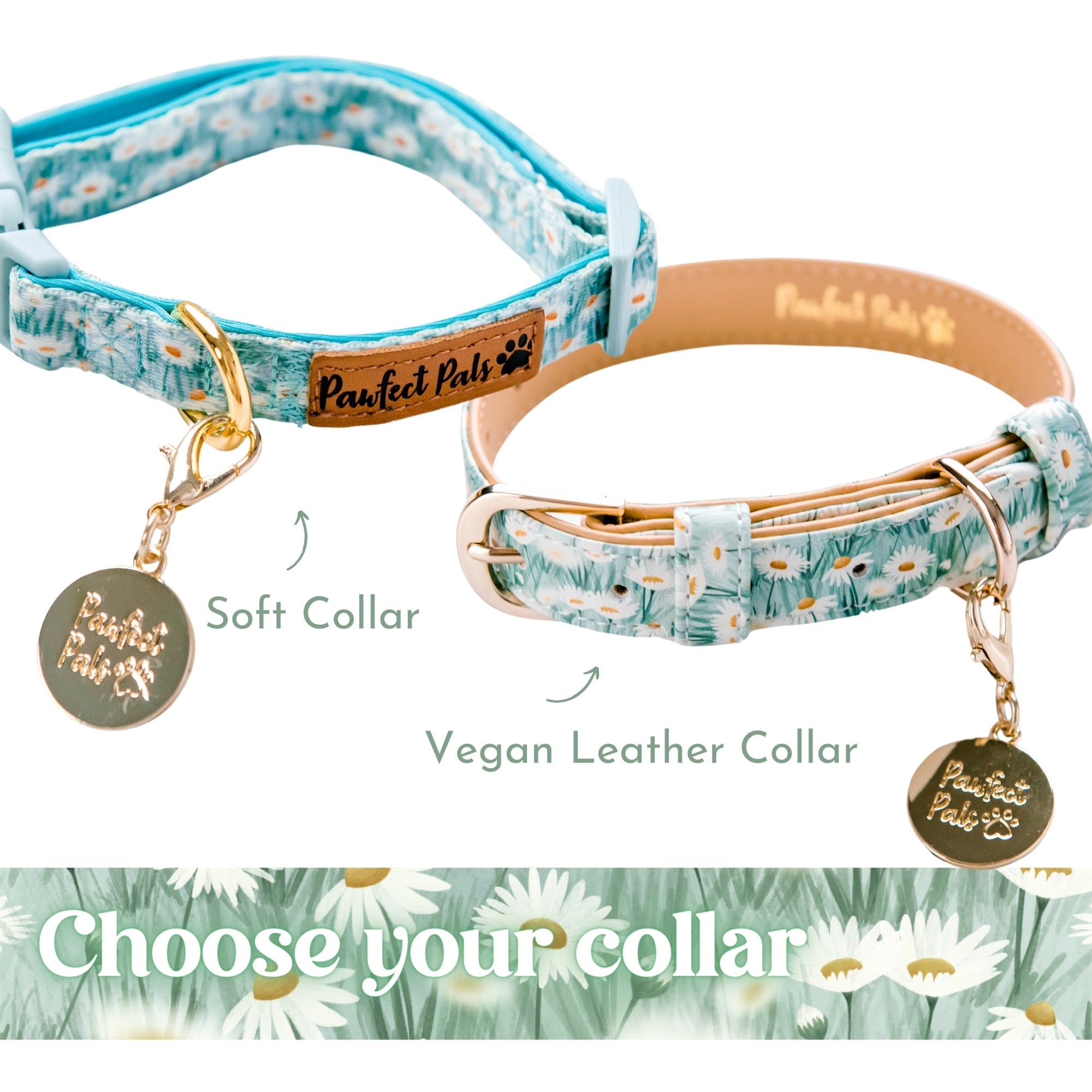 Sweet Like Honey Walkies Pack