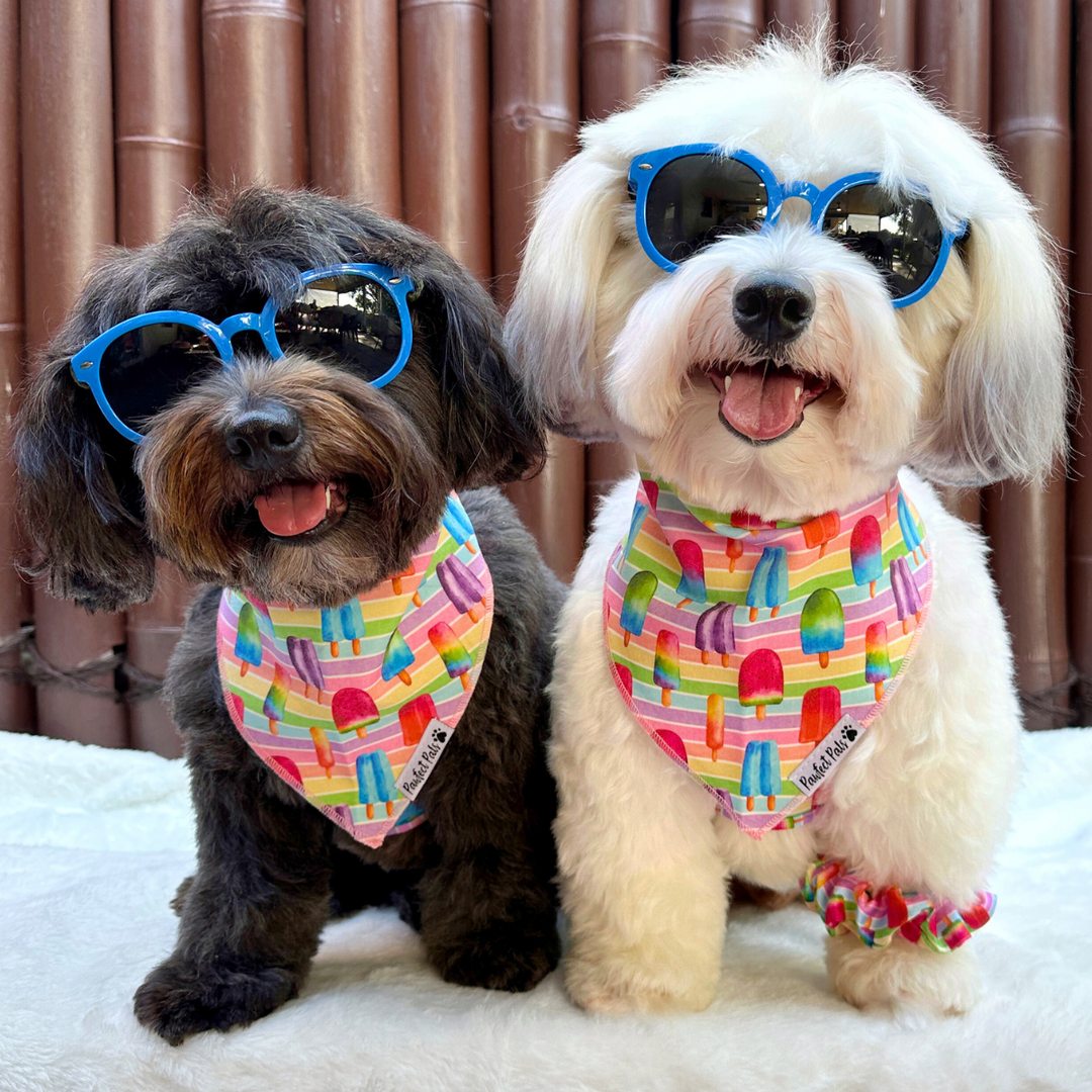Ted and Piper Dogs Just Wanna Have Sun Ice block bandanas