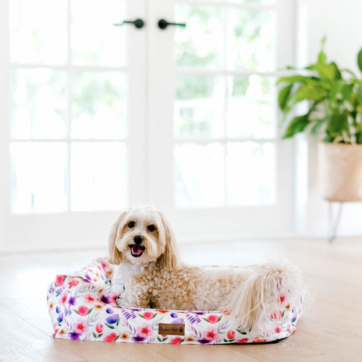 Think Pretty Thoughts - Bouquet Snuggle Bud dog bed in medium.