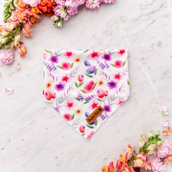 Cooling dog bandana in the Think Pretty Thoughts - Bouquet Walkies Pack.