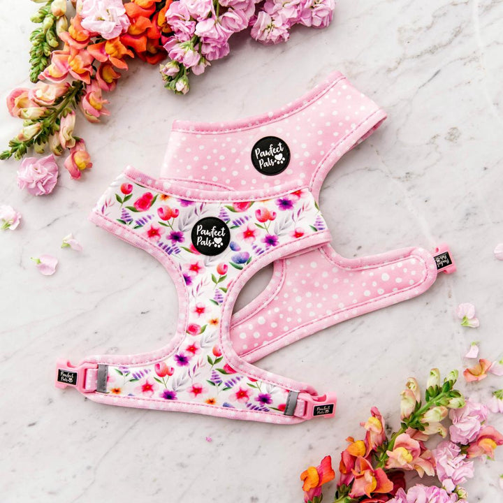 Reversible harness in the Think Pretty Thoughts - Bouquet Walkies Pack.