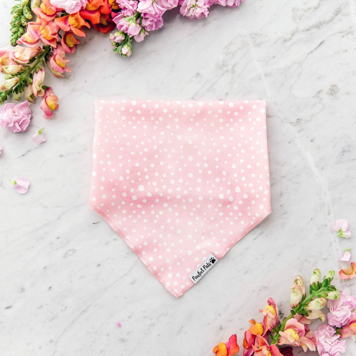 Cotton dog bandana in the Think Pretty Thoughts - Dots Walkies Pack.
