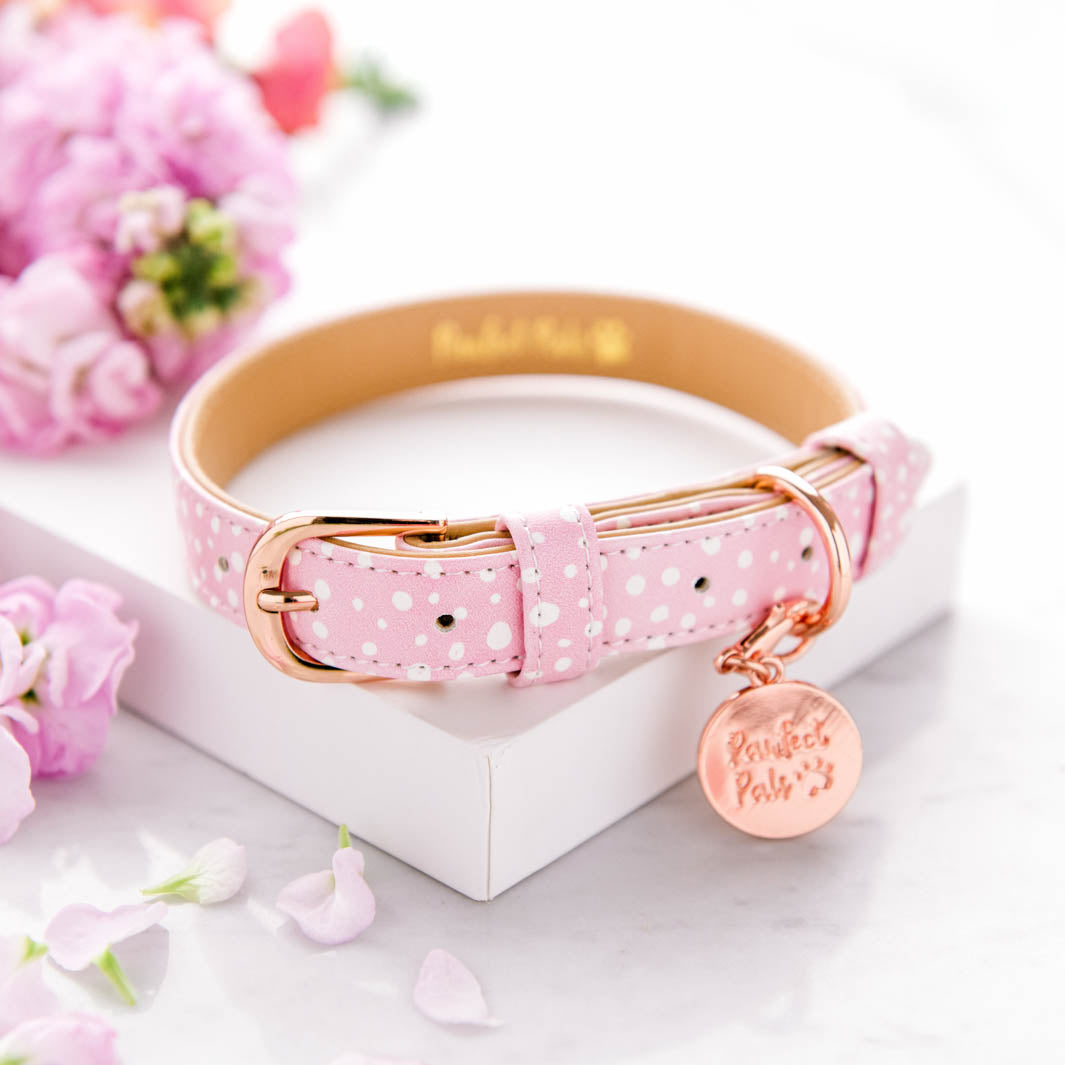 Think Pretty Thoughts - Pink Dots vegan leather dog collar.