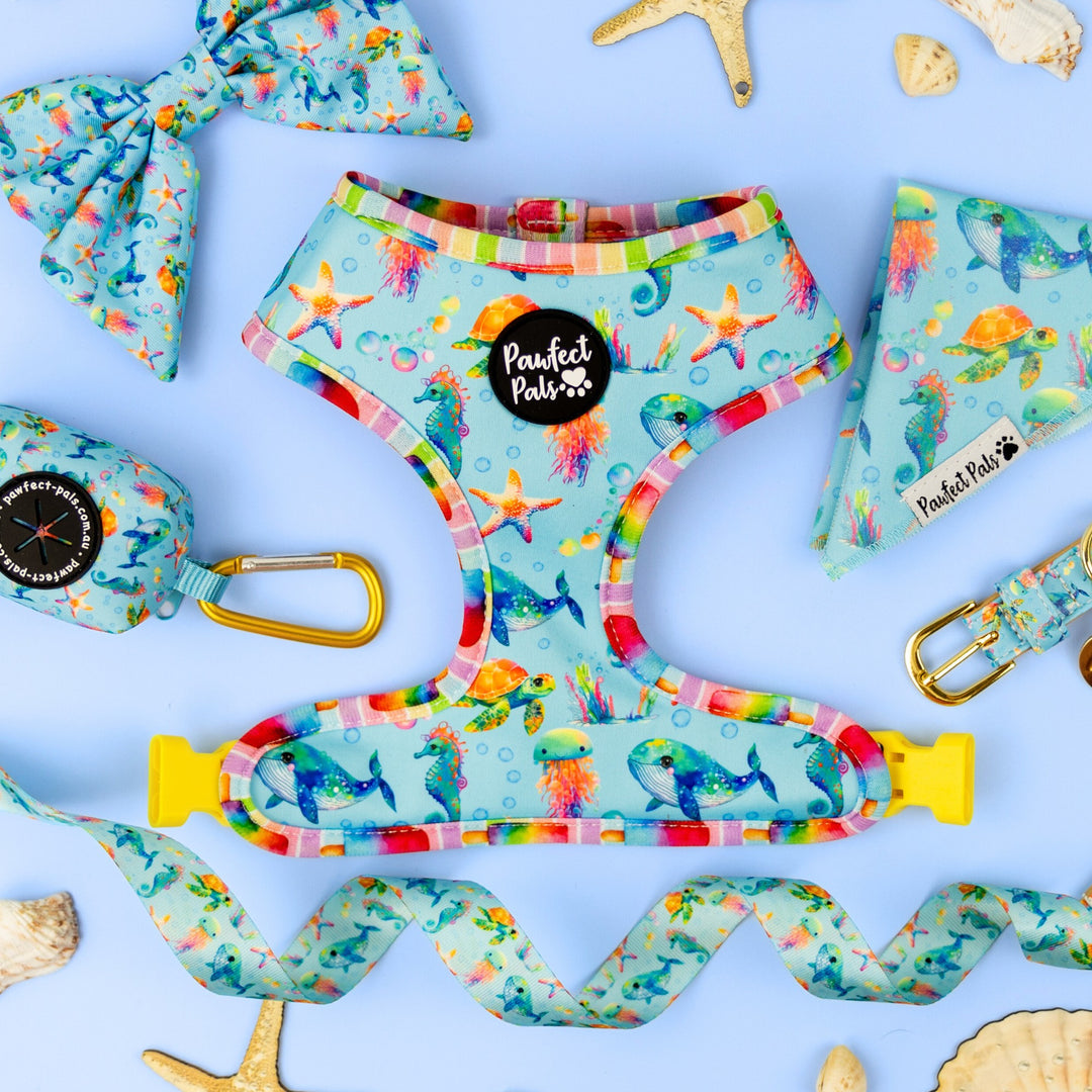 Dogs Just Wanna Have Sun - Under the Sea Walkies Pack