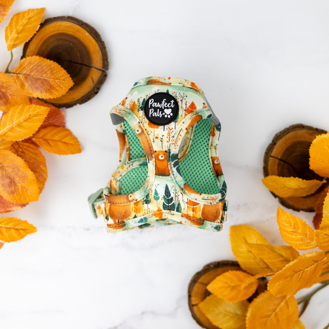 Wild at Heart cat harness.