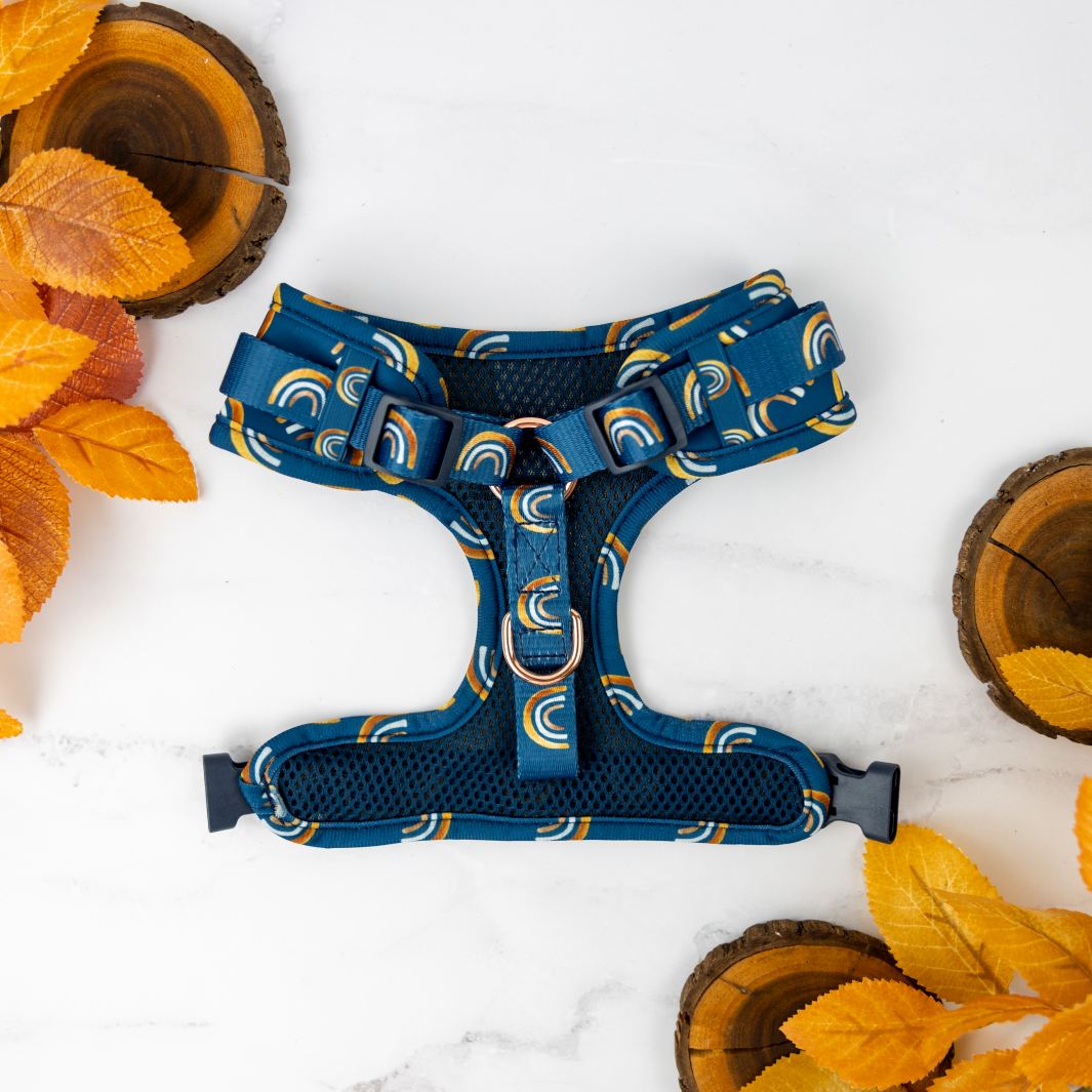 Underside of the Wild at Heart - Golden Horizons no-pull adjustable harness.