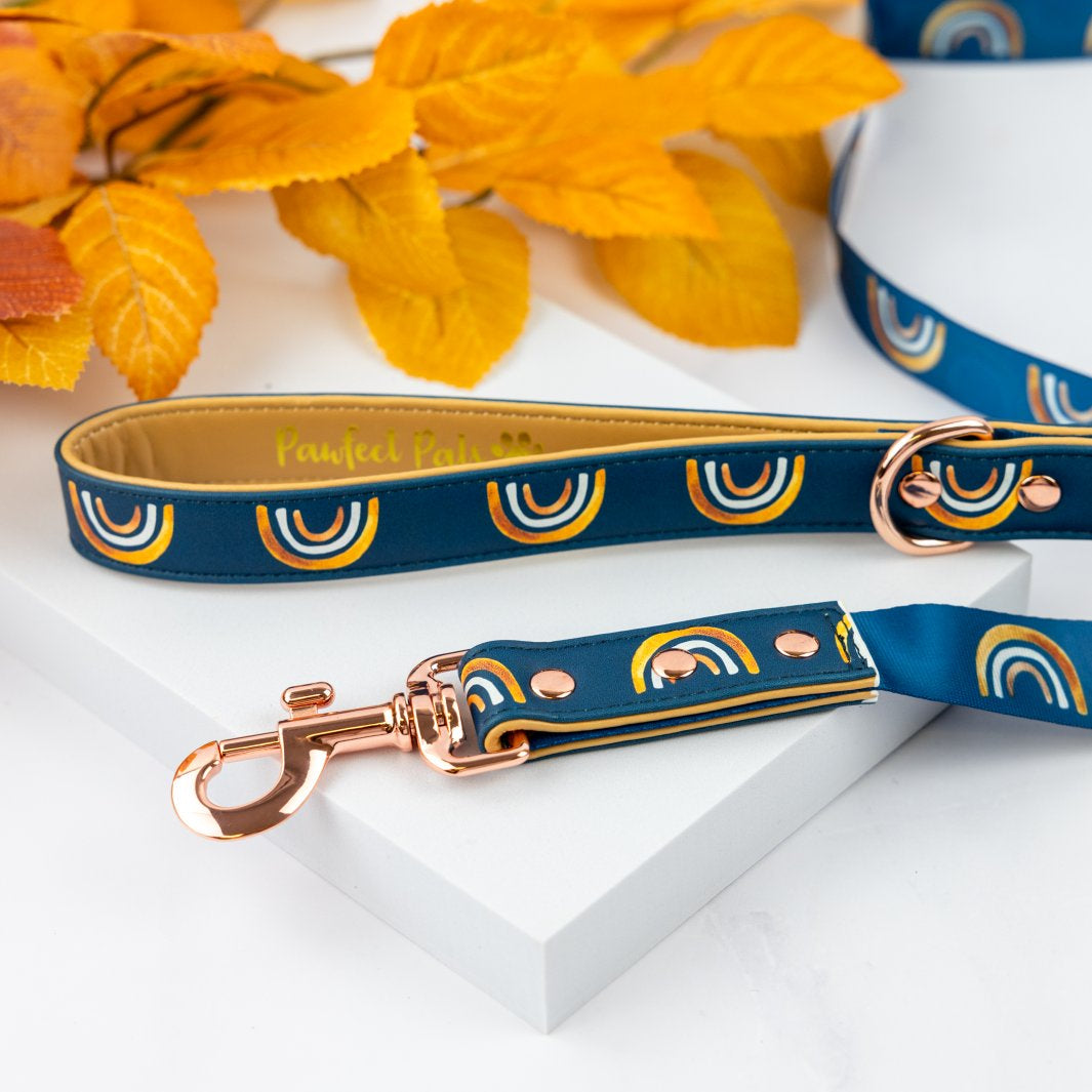 Wild at Heart - Golden Horizons vegan leather dog lead.