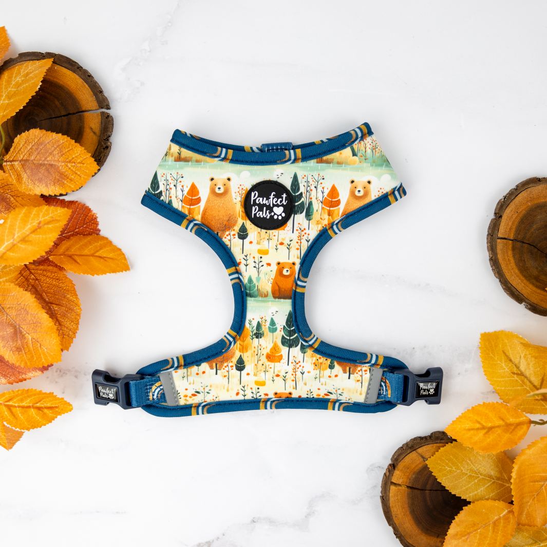 Bear design on the Wild at Heart reversible harness.