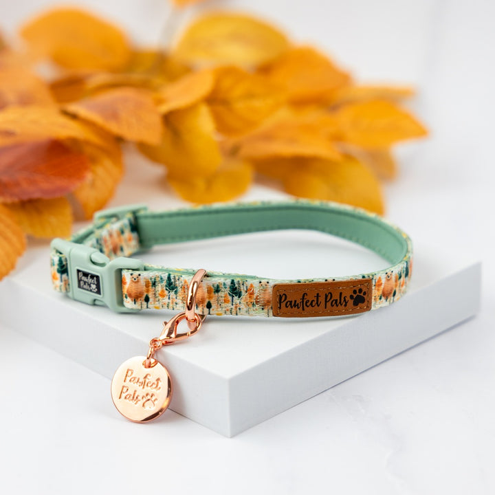 Wild at Heart soft dog collar.