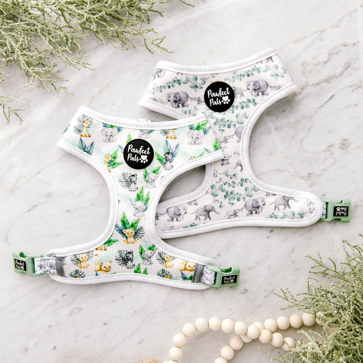 Wild One reversible harness.