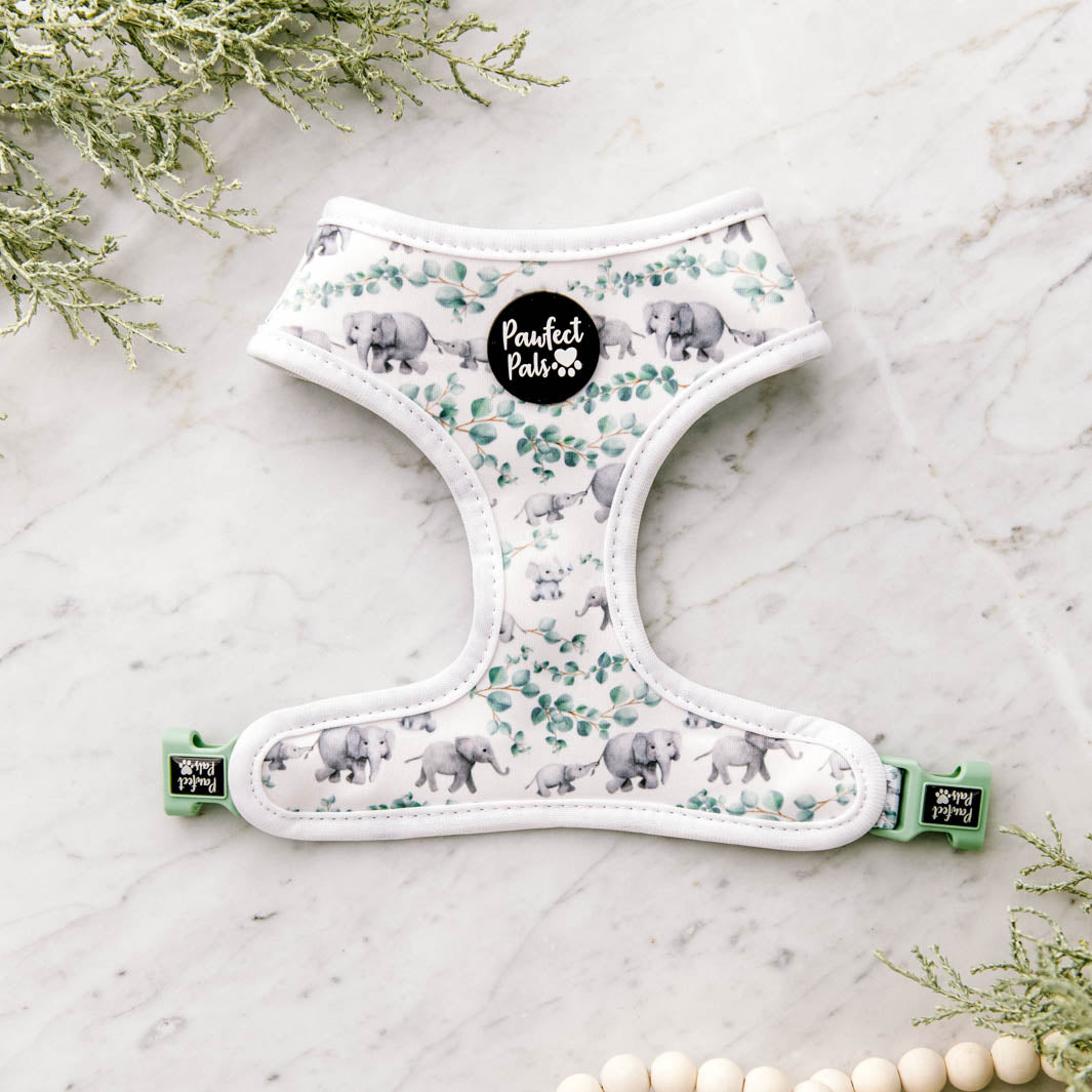Elephants side of the Wild One reversible harness.