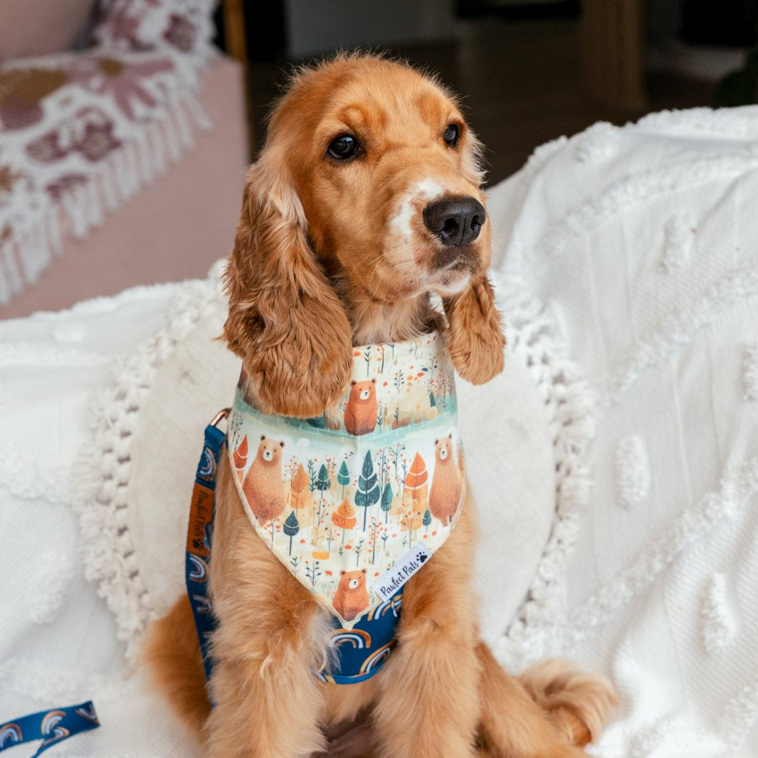 AmbassaDOG Finny in the Wild at Heart cotton bandana.