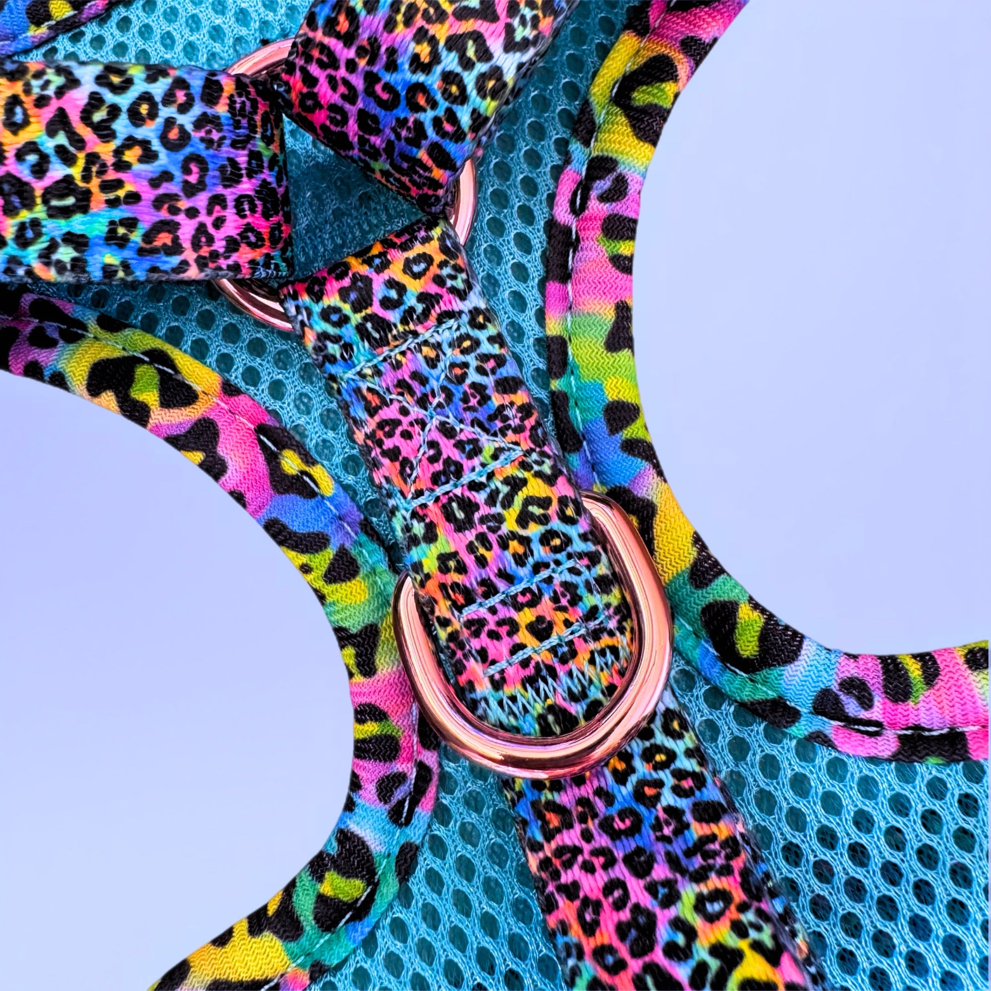 Wild Rainbow - No-Pull Adjustable Harness