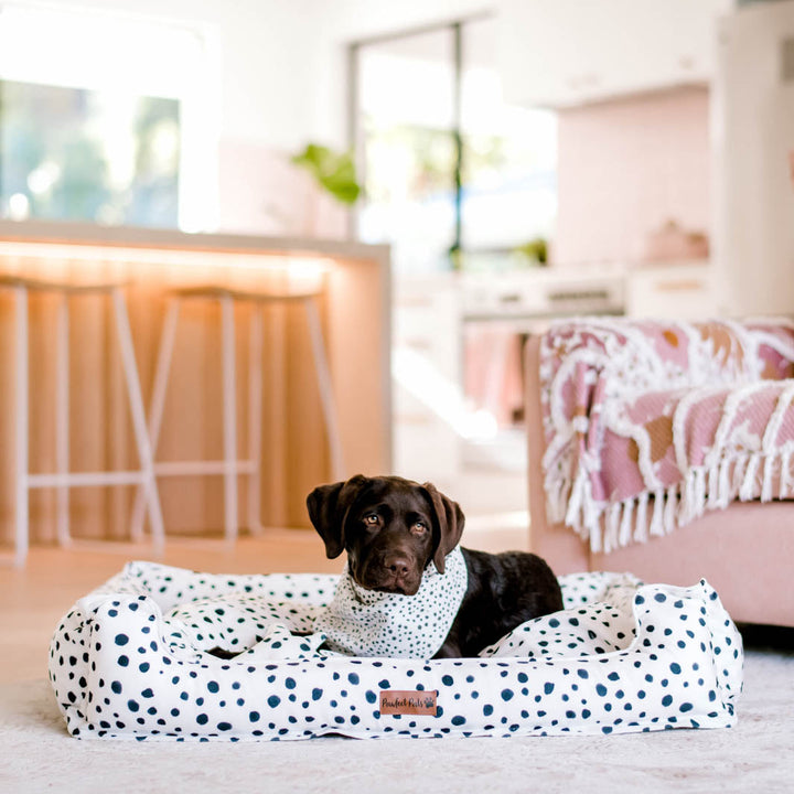 Zoomies - Terrazzo snuggle bud dog bed in large.