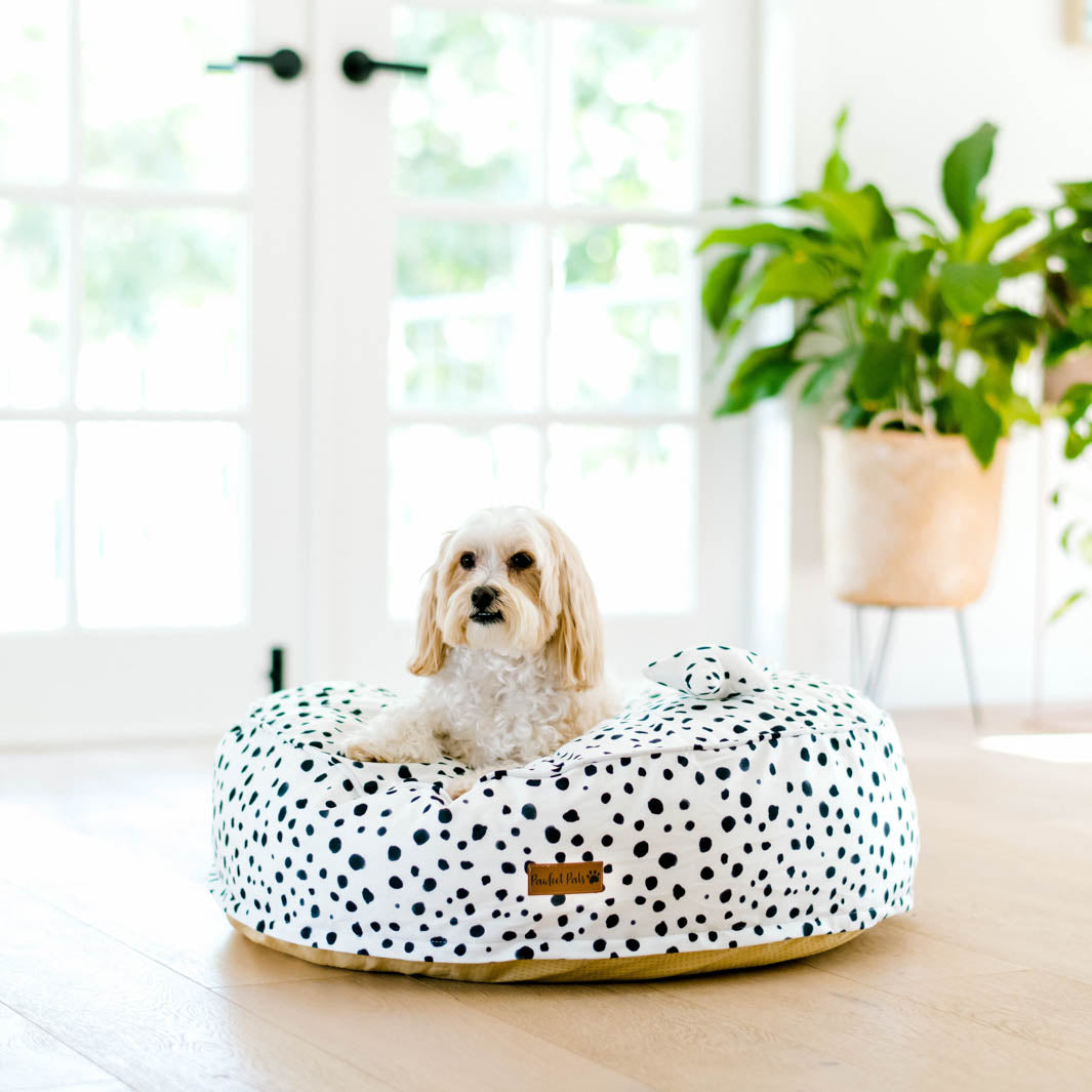 Zoomies - Terrazzo cuddle bud dog bed in small.