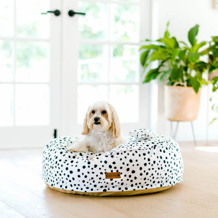Zoomies - Terrazzo cuddle bud dog bed in small.