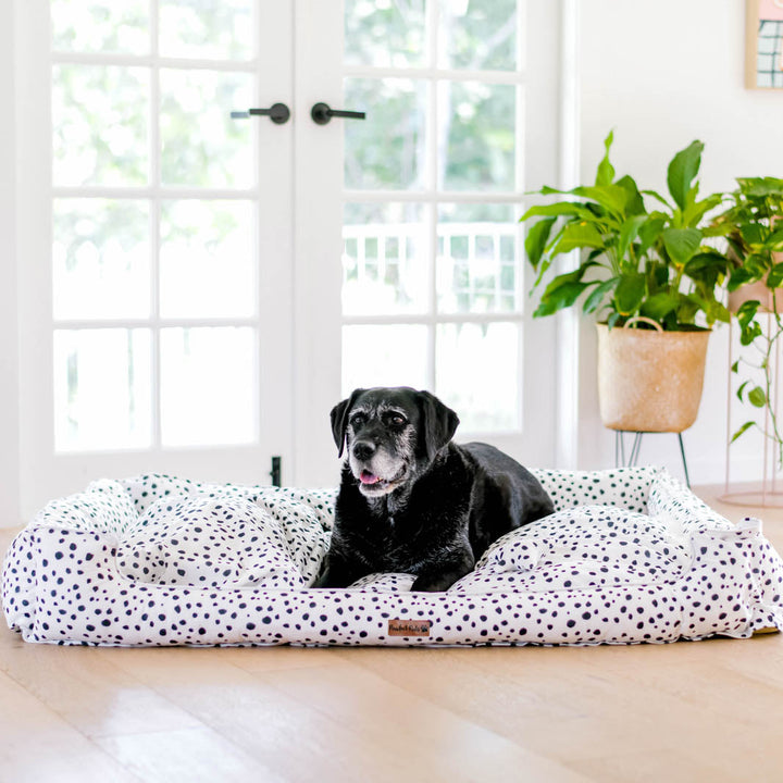 Zoomies - Terrazzo snuggle bud dog bed in XXL.
