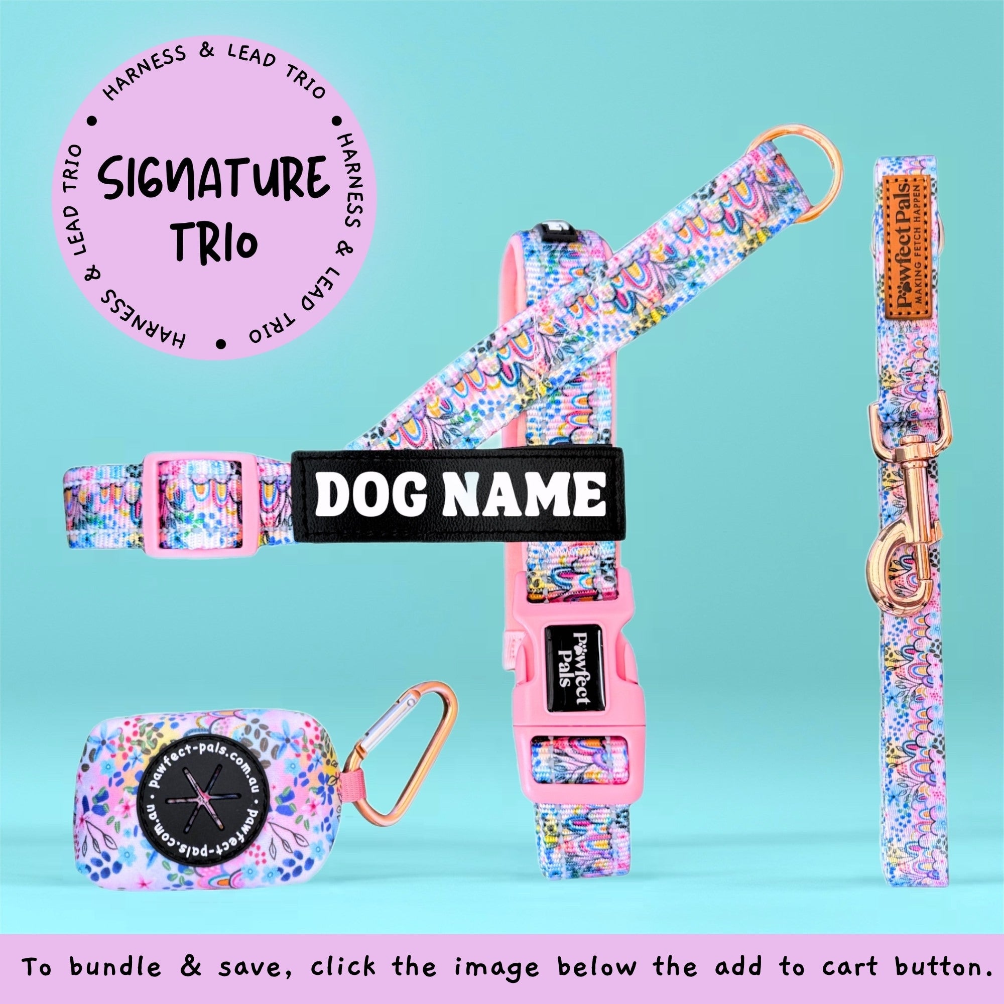 Dog harness, leash, and tag set with floral design on a teal background