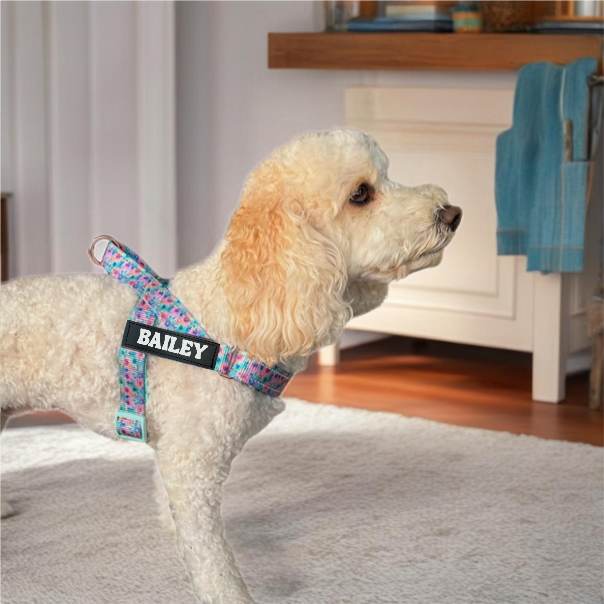 Dog wearing a floral harness with 'BAILEY' on it, standing indoors.