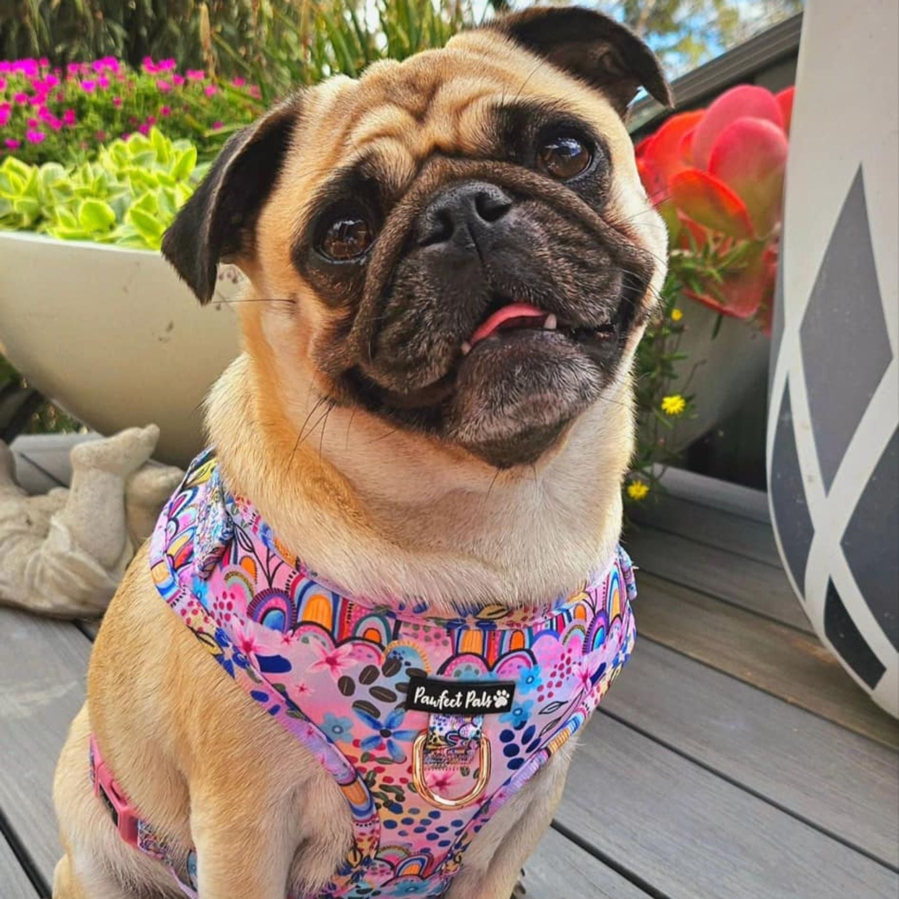 Got it Glowing On - Boho Vibes No-Pull Adjustable Harness
