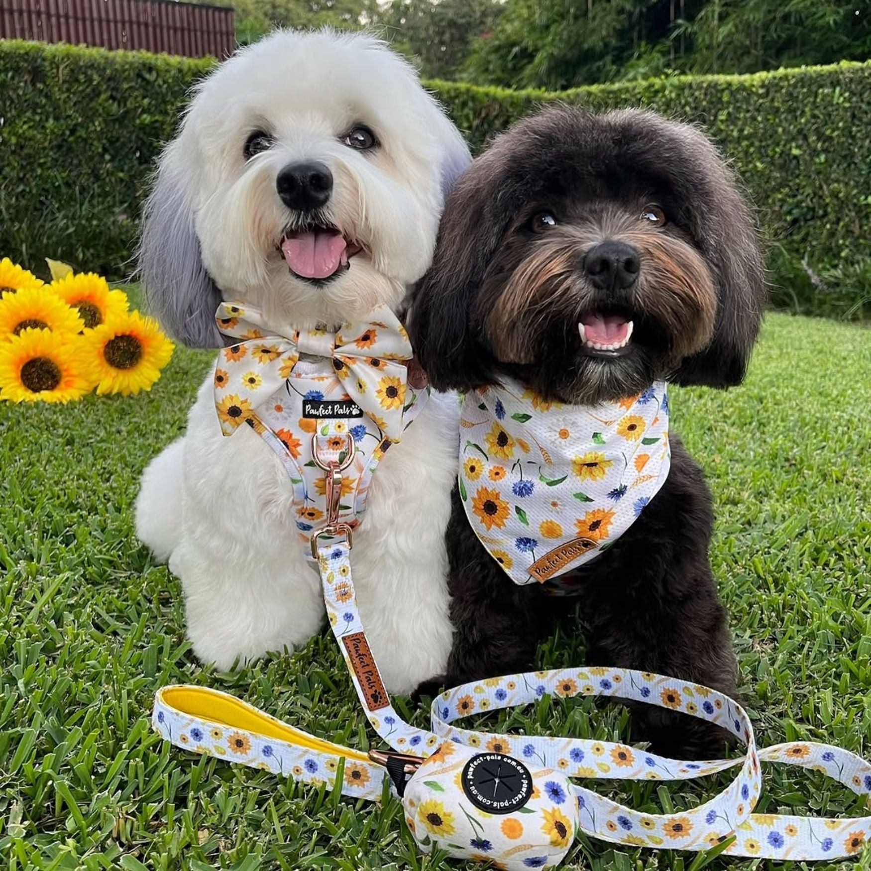 Sunshine on my Mind - No-Pull Adjustable Harness