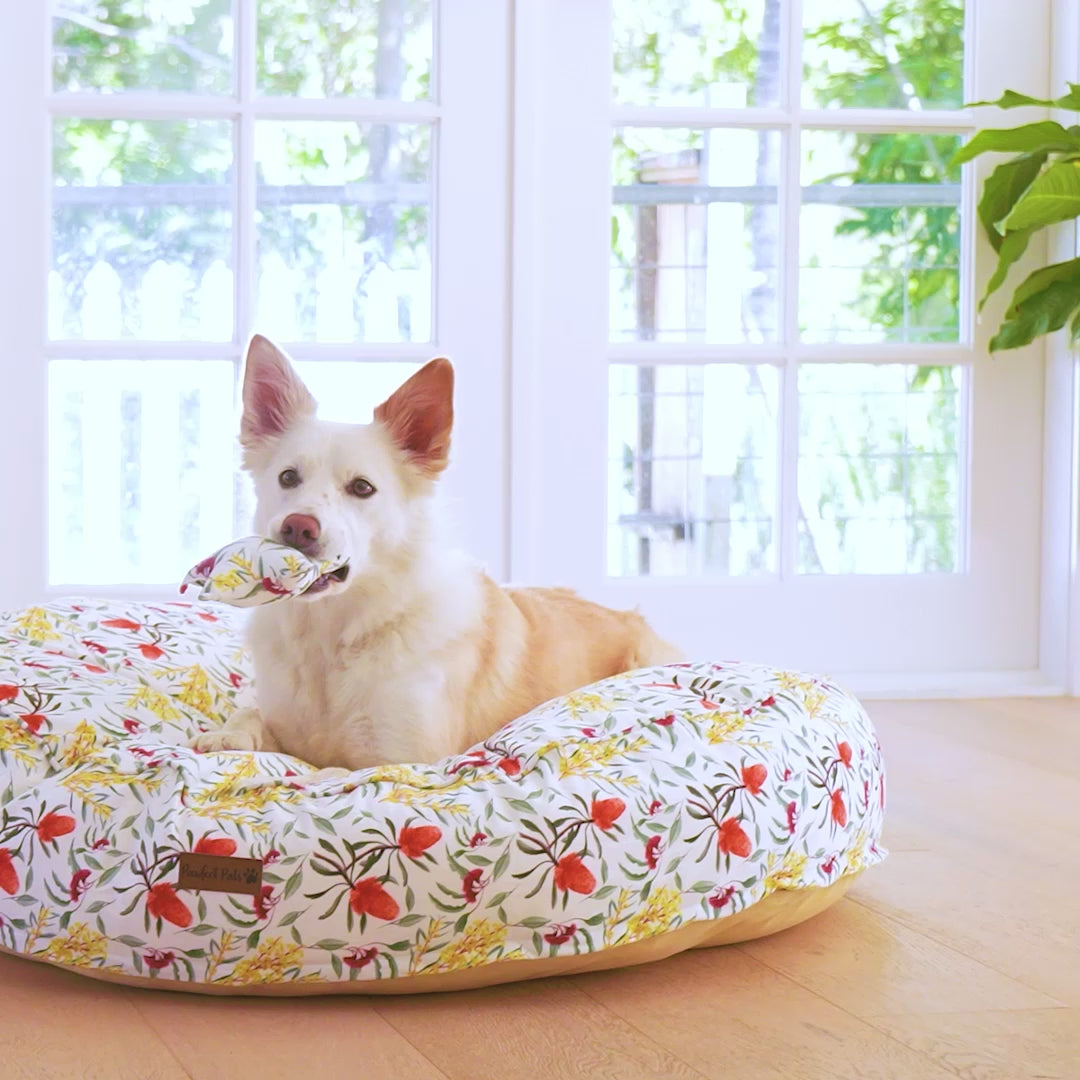 Australian Beauties - Flora Cuddle Bud Dog Bed