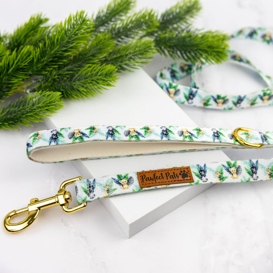 Wild One Dog Accessories Afterpay Available Pawfect Pals