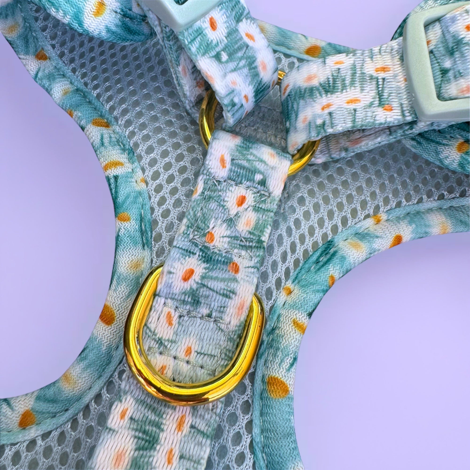 Sweet Like Honey - Daisy Fields No-Pull Adjustable Harness
