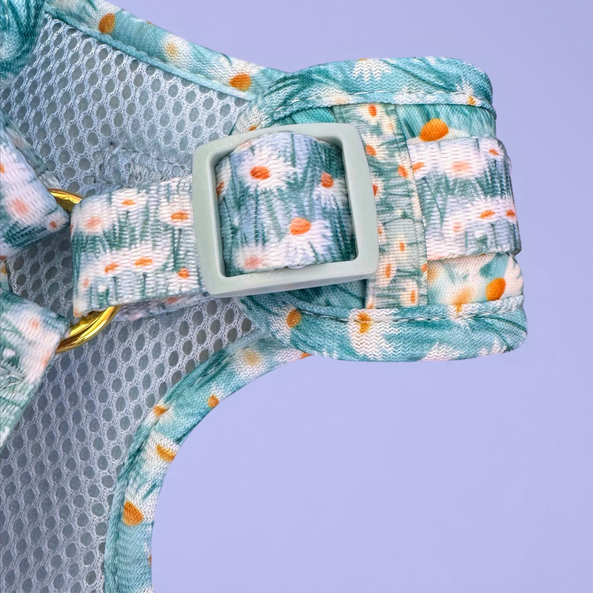 Sweet Like Honey - Daisy Fields No-Pull Adjustable Harness