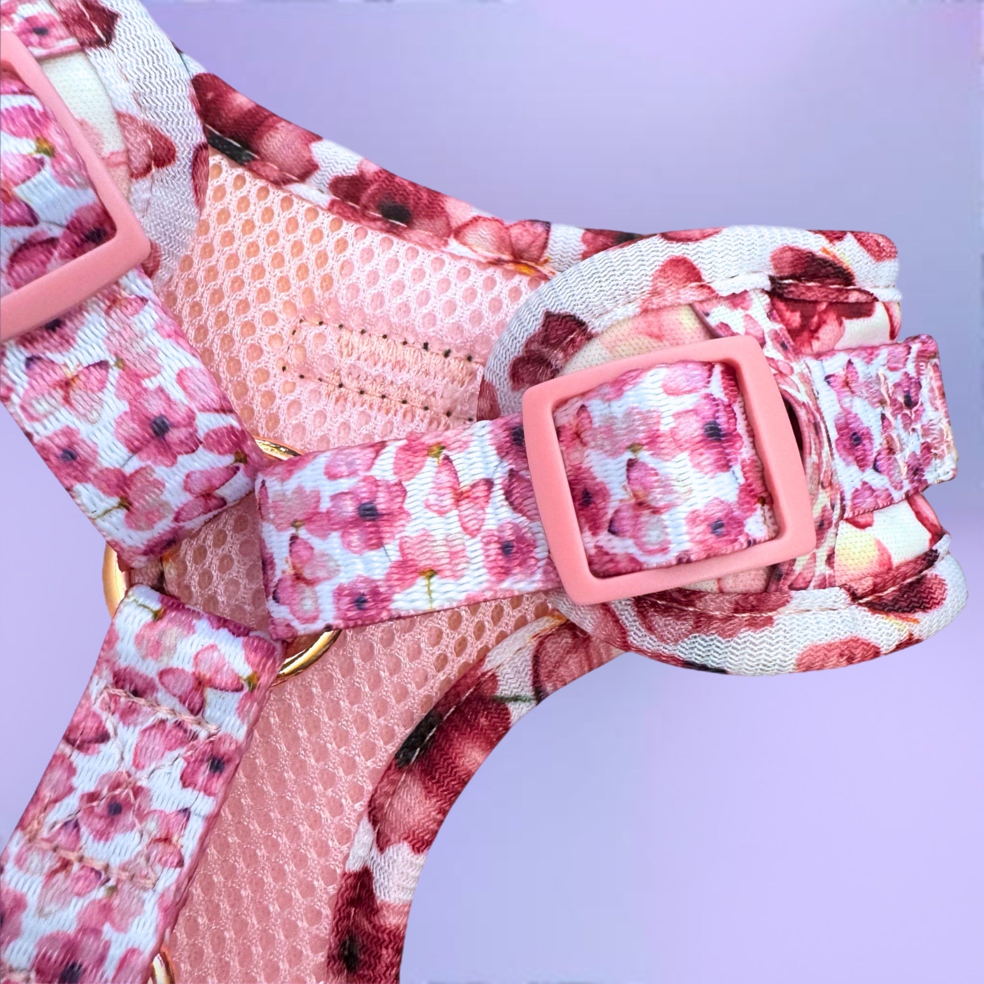 You Give Me Butterflies - No-Pull Adjustable Harness