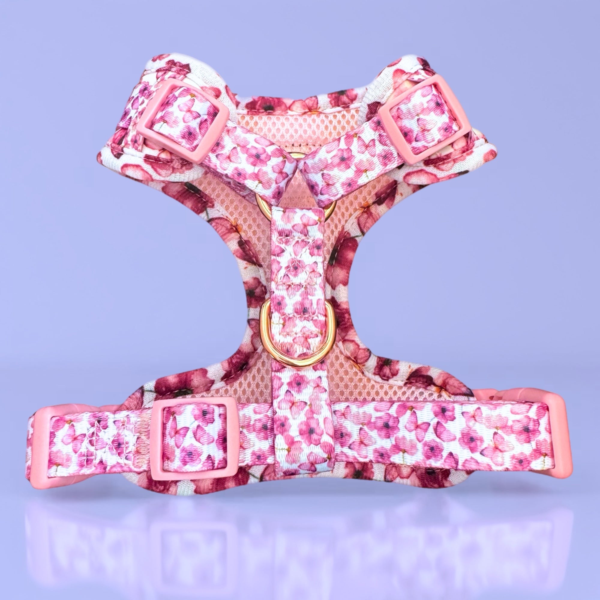 You Give me Butterflies - Personalised Adjustable Harness Trio