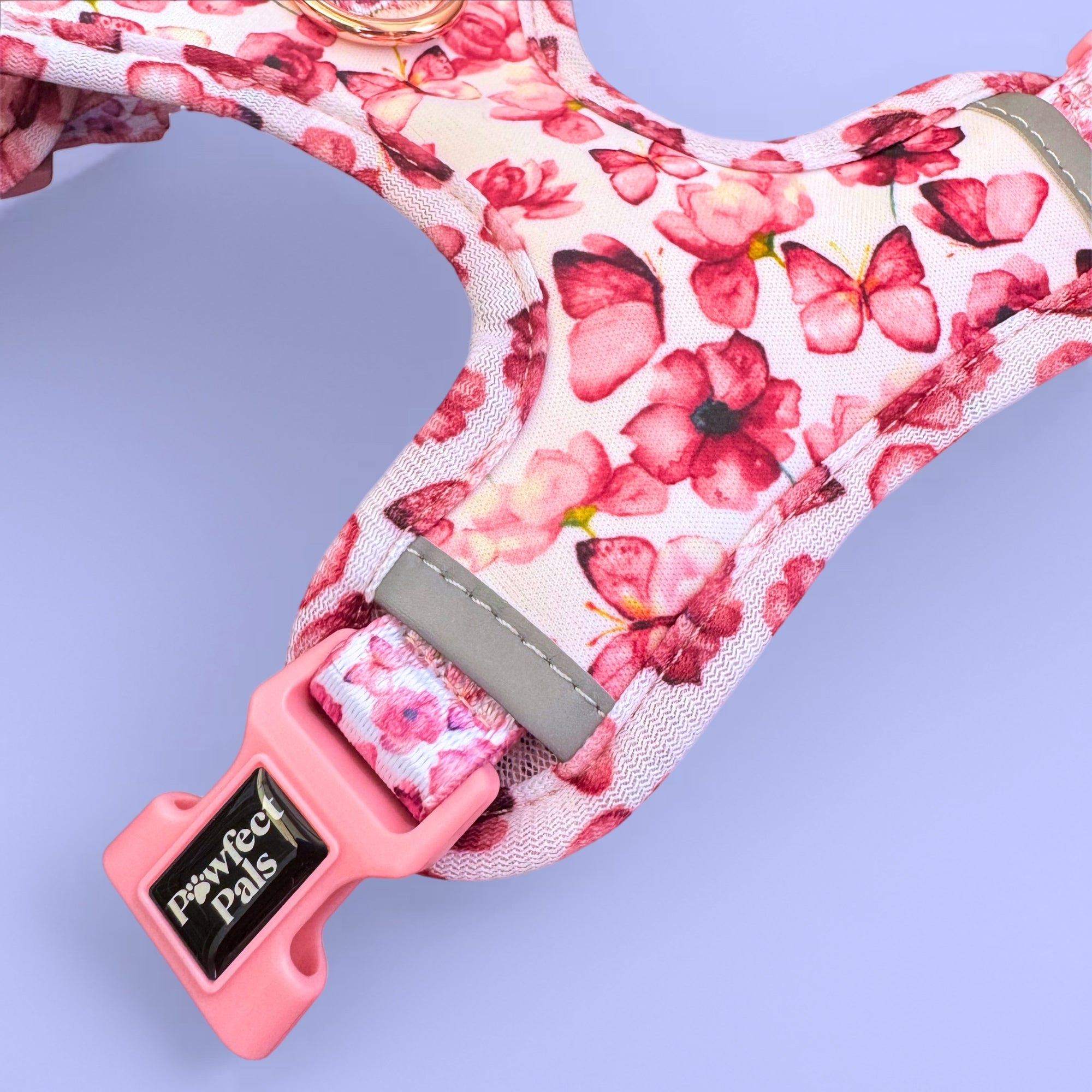 You Give me Butterflies - Personalised Adjustable Harness Trio