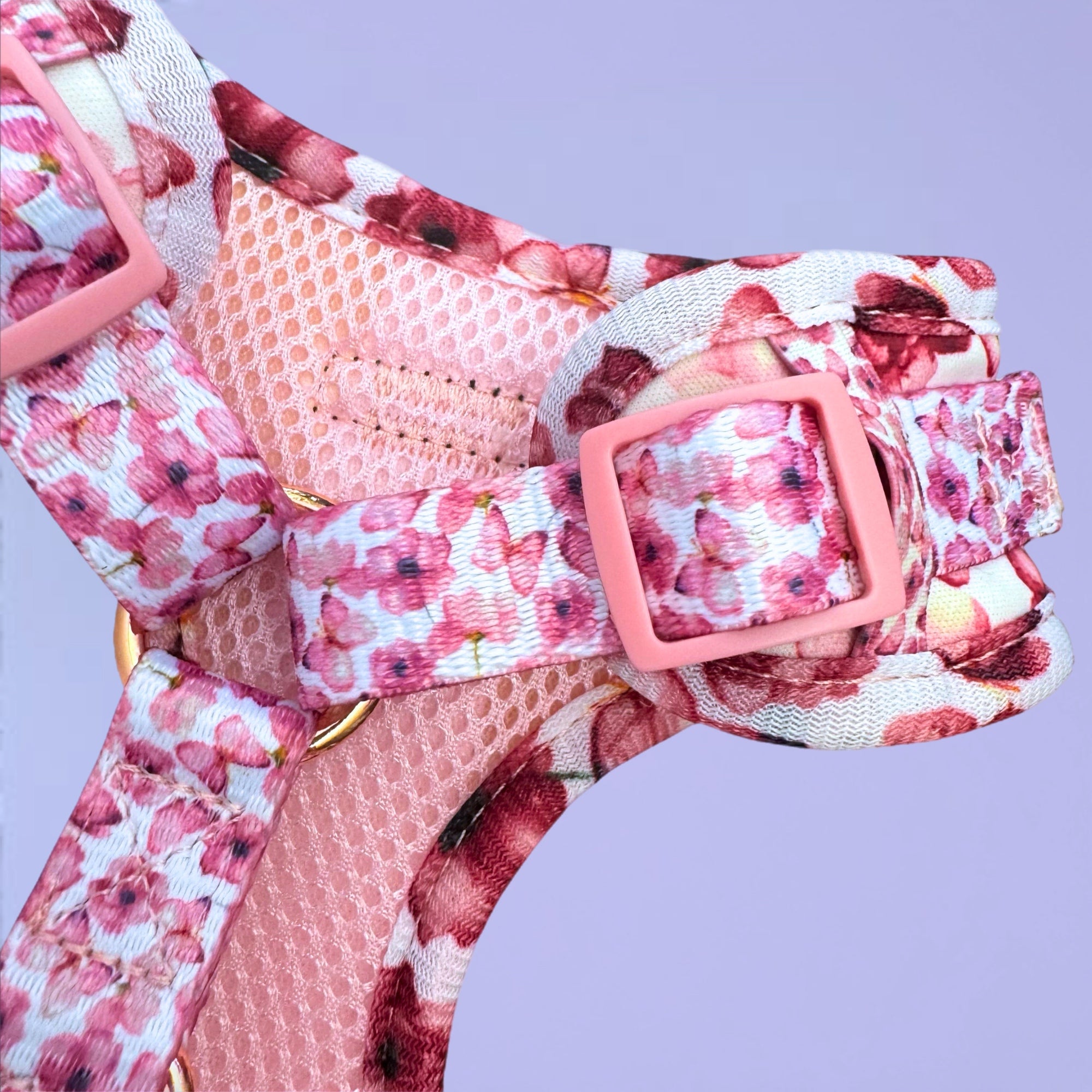 You Give me Butterflies - Personalised Adjustable Harness Trio