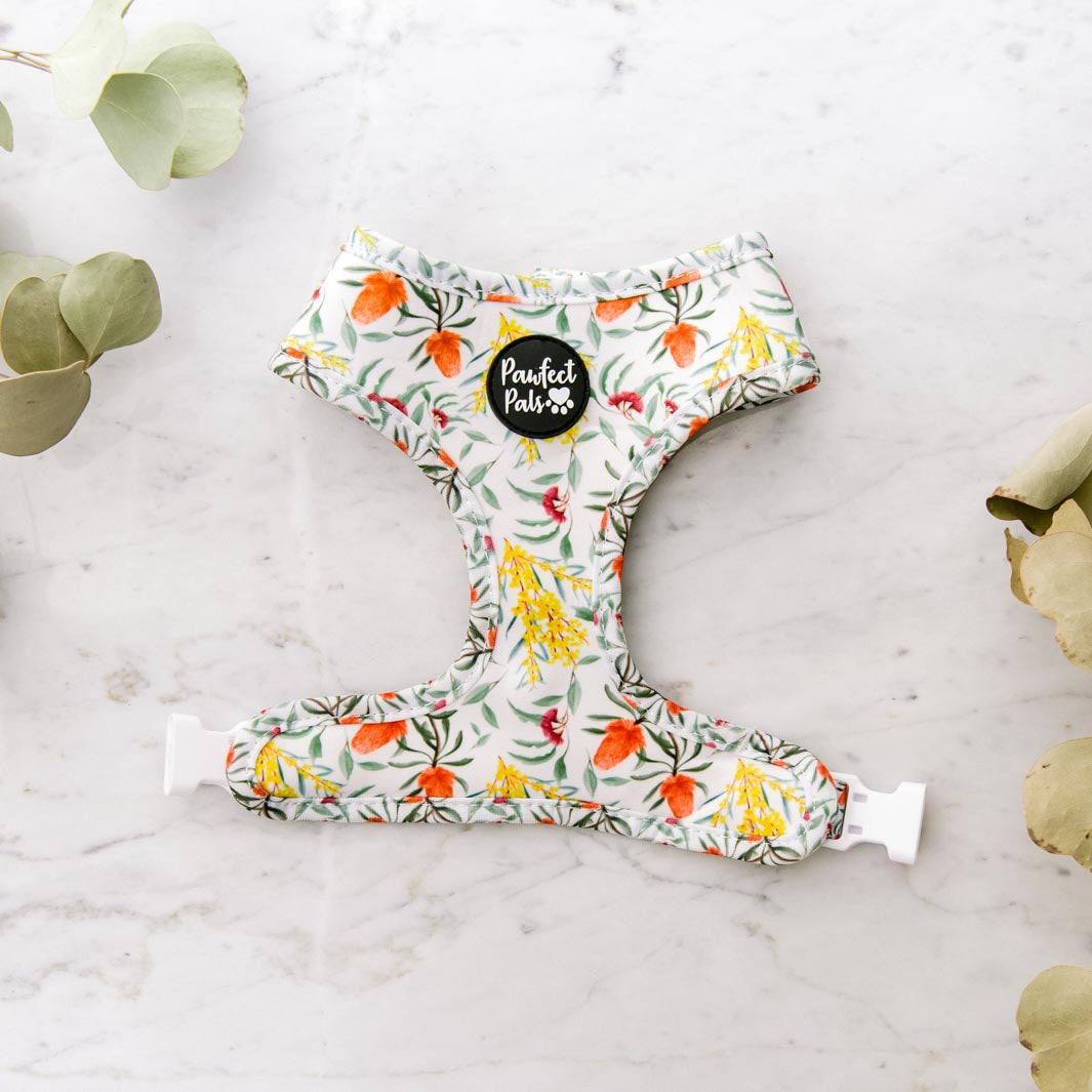 Australian Beauties reversible harness - flora side.