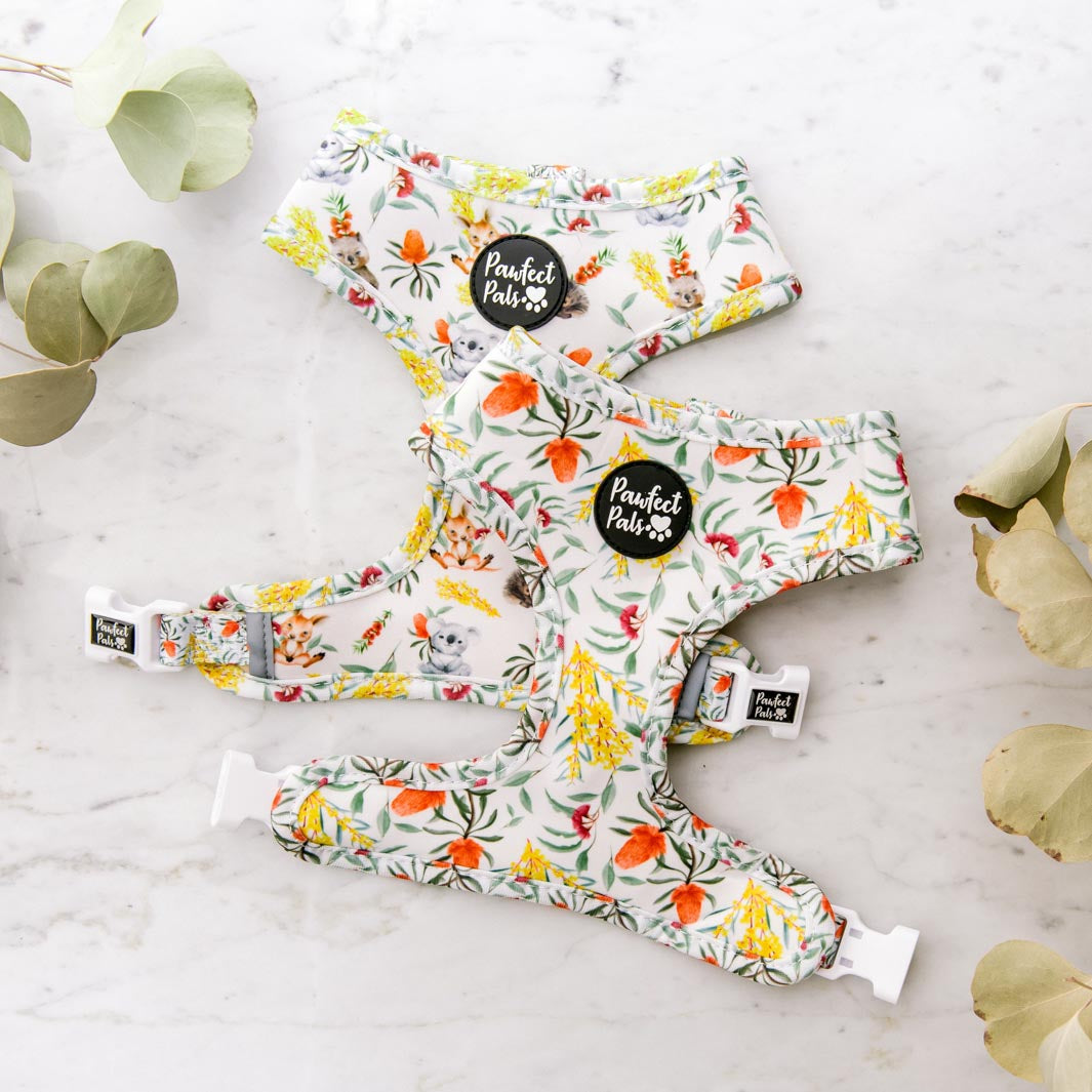 Australian Beauties reversible harness.