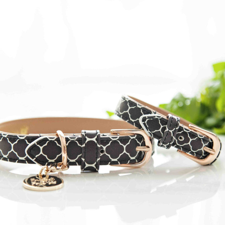 Believe in Your Selfie bracelet with matching dog collar.