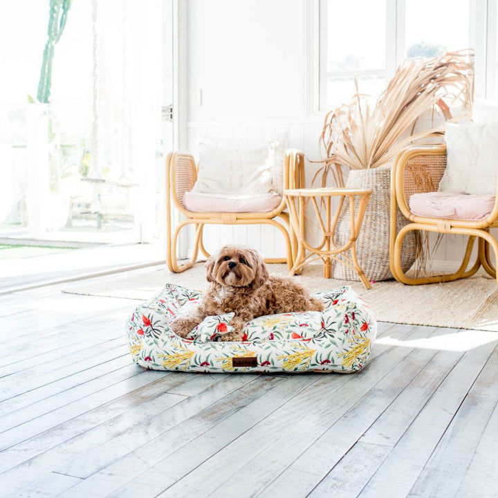 AmbassaDOG Bertie Brown in Australian Beauties - Flora snuggle bud dog bed.