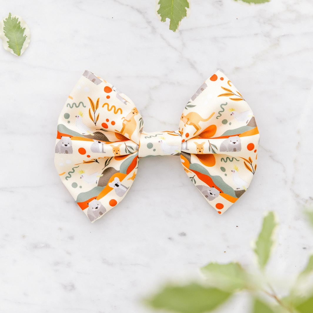 Born to Explore - Outback sailor bow tie.