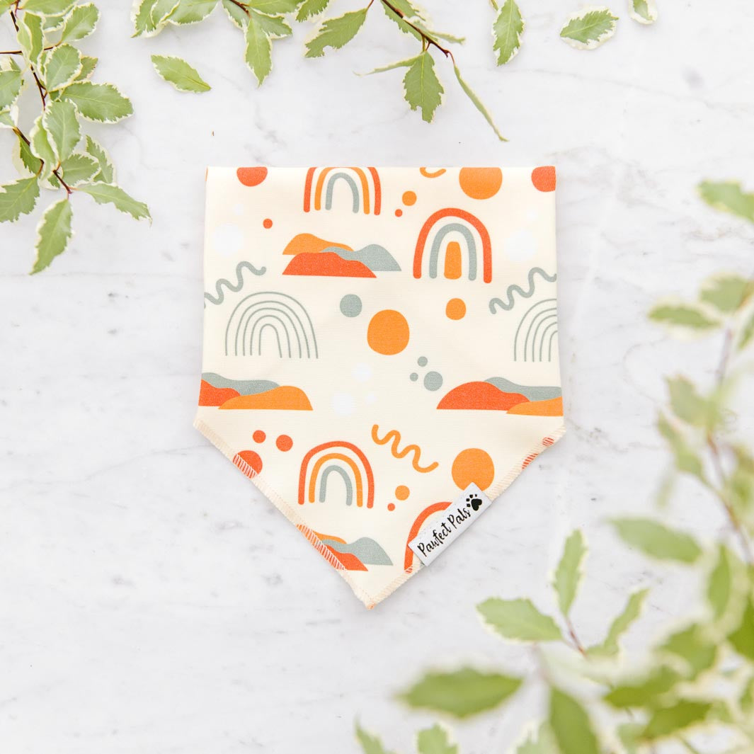 Born to Explore - Rainbows cotton bandana.