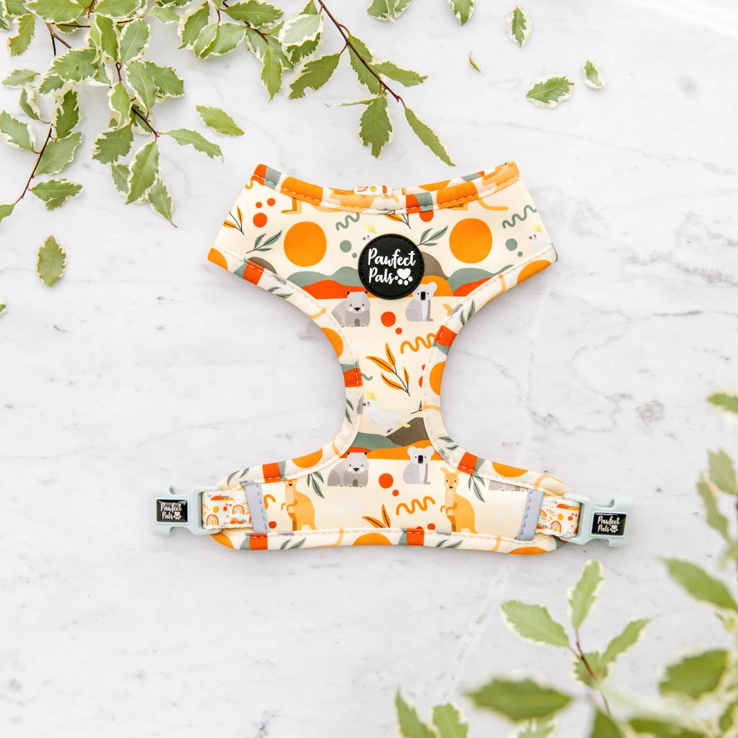 Outback design on the Born to Explore reversible harness.