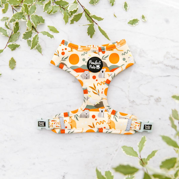Outback design on the Born to Explore reversible harness.