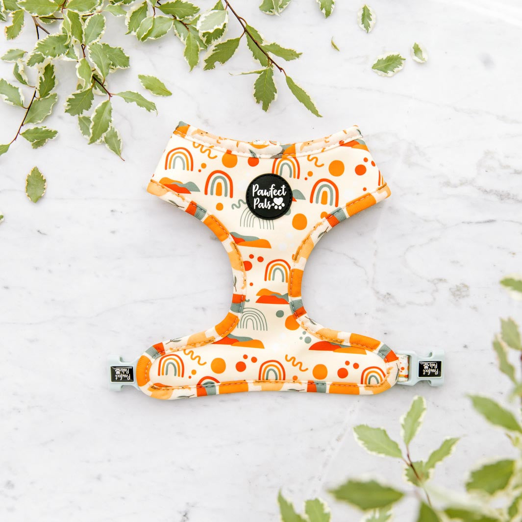 Rainbows design on the Born to Explore reversible harness.