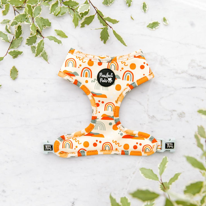 Rainbows design on the Born to Explore reversible harness.