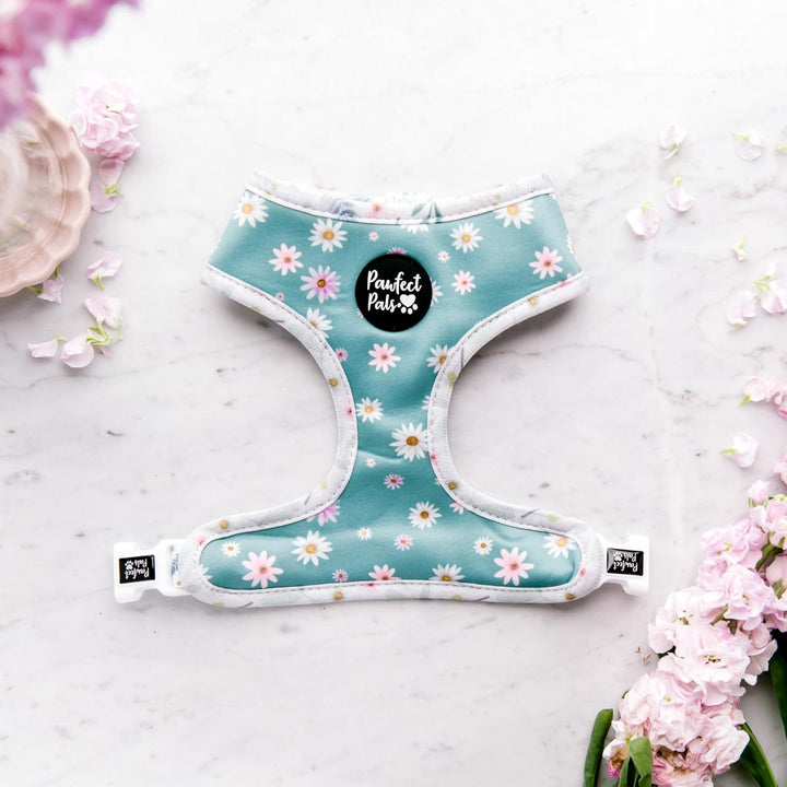 Daisies side of the Daisy Baby reversible harness.
