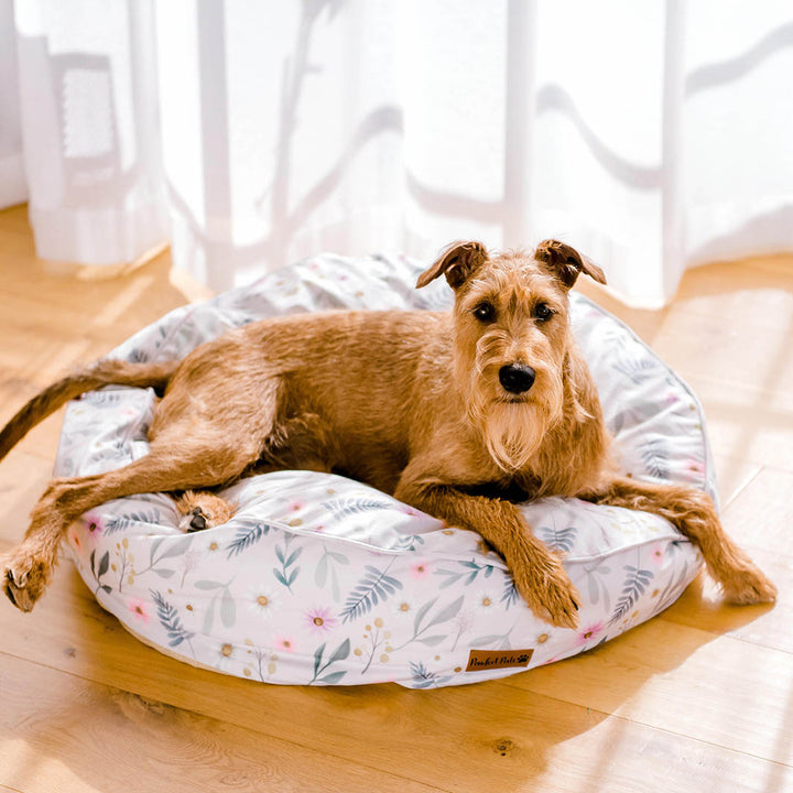 Henry on the Daisy Baby - Wildflowers Cuddle Bud dog bed in large.