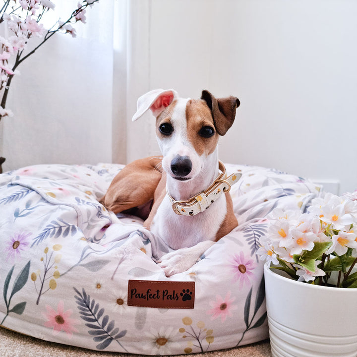 AmbassaDOG Pippa on her Daisy Baby - Wildflowers Cuddle Bud dog bed in small.