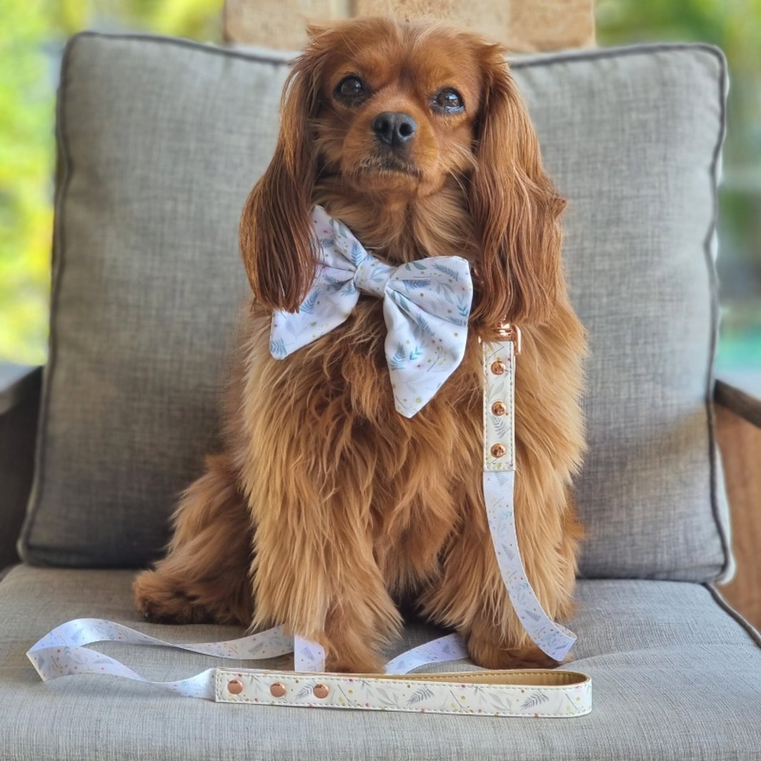 AmbassaDOG Lilo in Daisy Baby - Wildflowers sailor bow tie, collar and lead.