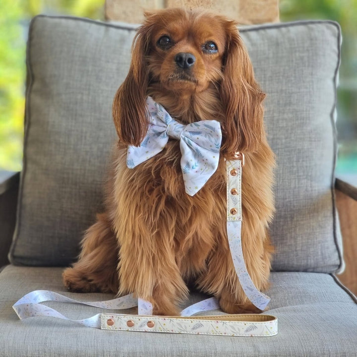 AmbassaDOG Lilo in Daisy Baby - Wildflowers sailor bow tie, collar and lead.