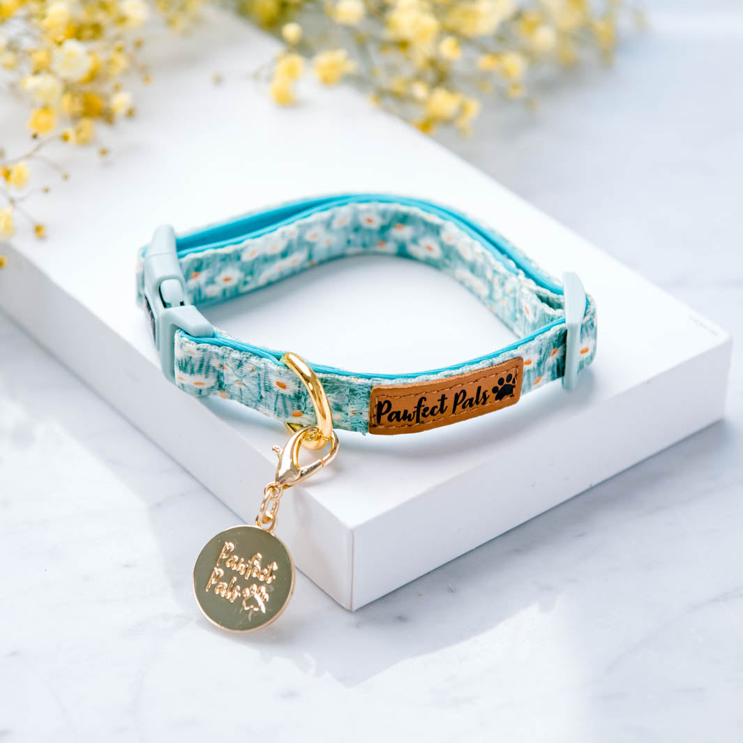 Sweet Like Honey - Daisy Fields soft dog collar.